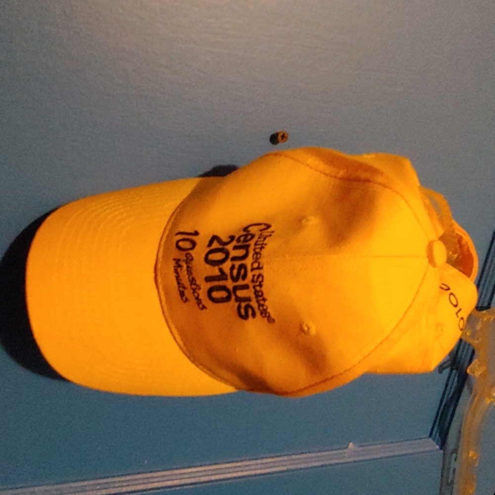 2010 Census hat